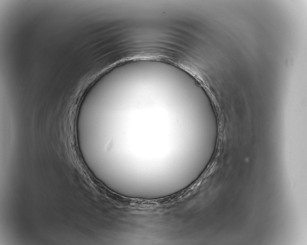 X0000089690337200706210838