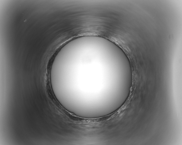 X0000089690338200706210838