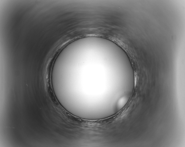 X0000089690339200706210838