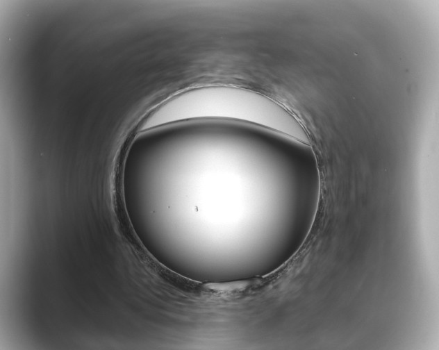X0000089690340200706210838