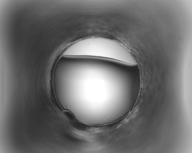 X0000089690341200706210838