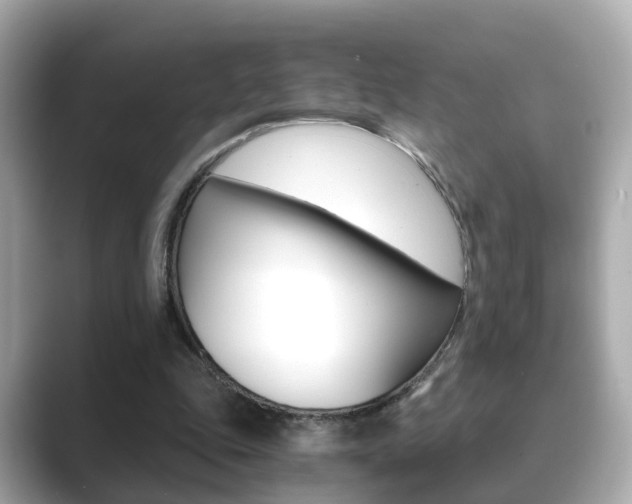 X0000089690343200706210838