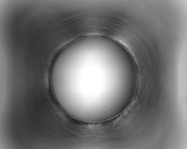 X0000089690345200706210838