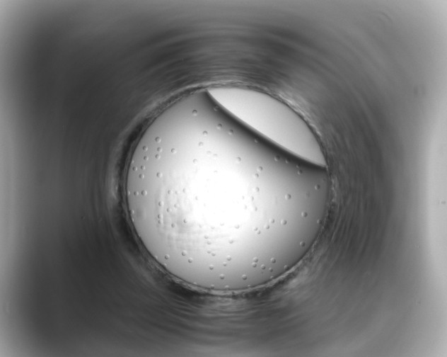 X0000089690347200706210838