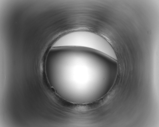 X0000089690350200706210838