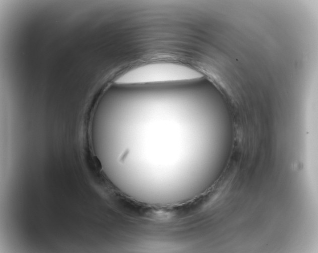 X0000089690352200706210838