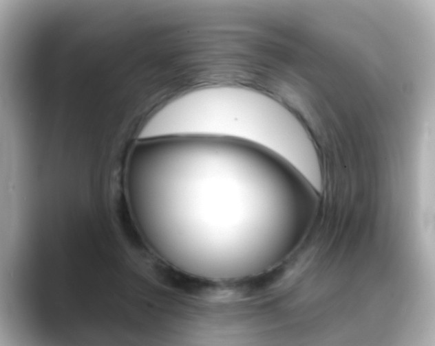 X0000089690356200706210838