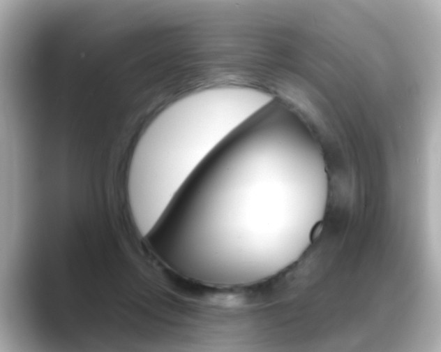 X0000089690358200706210838