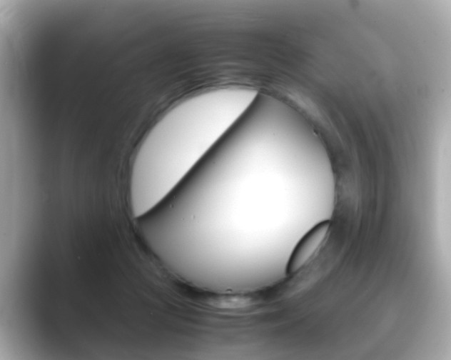 X0000089690361200706210839
