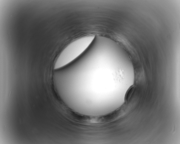 X0000089690365200706210839