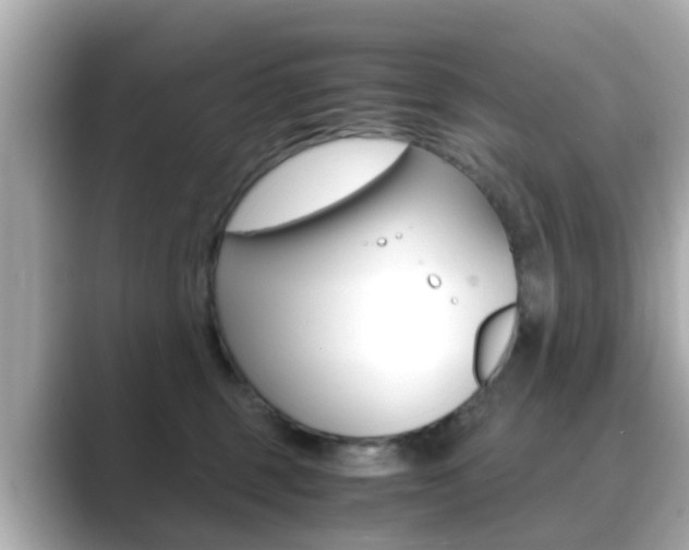 X0000089690375200706210839