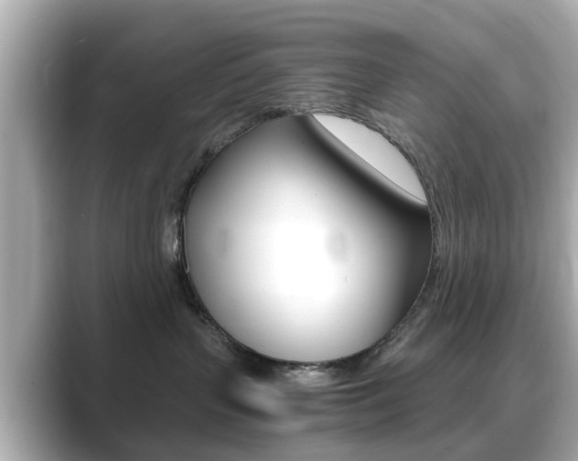 X0000089690383200706210839