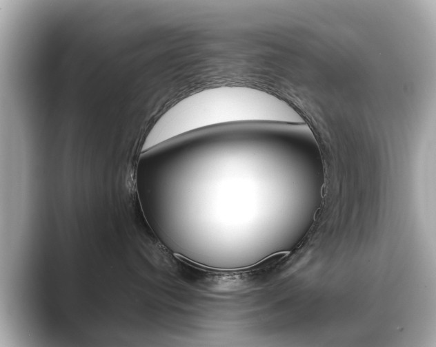 X0000089690384200706210839