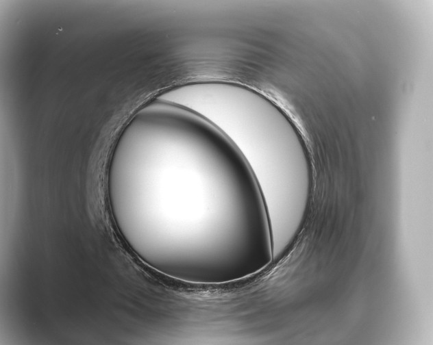X0000089690385200706210838