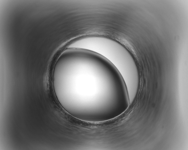 X0000089690388200706210838