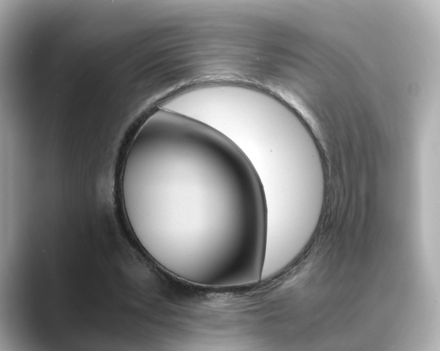 X0000089690391200706210838