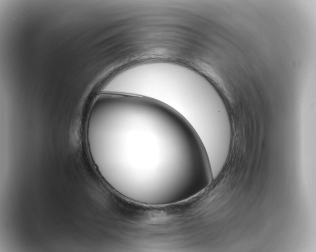 X0000089690392200706210838