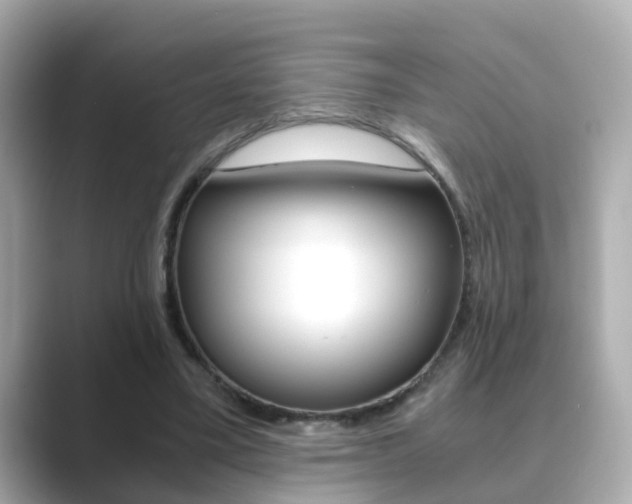 X0000089690395200706210838