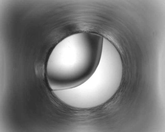 X0000089690397200706210838