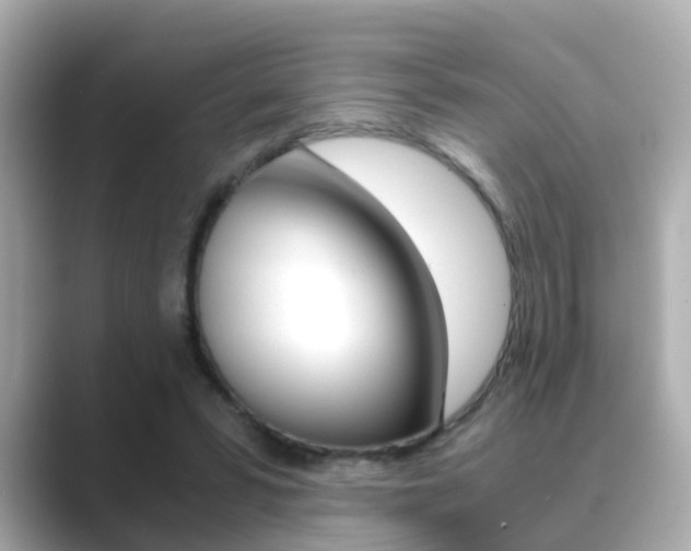 X0000089690399200706210838