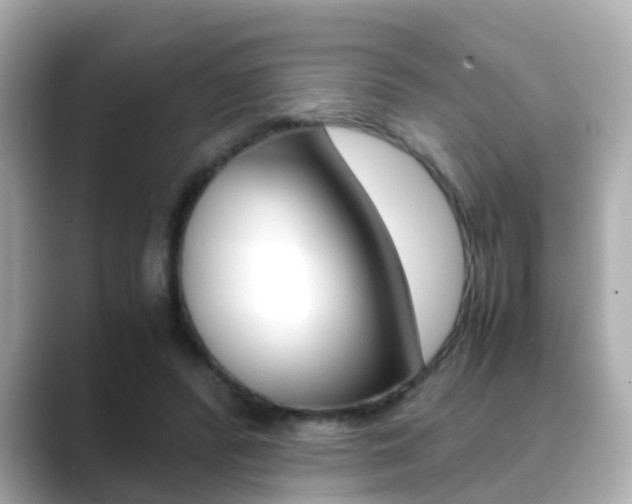 X0000089690400200706210838