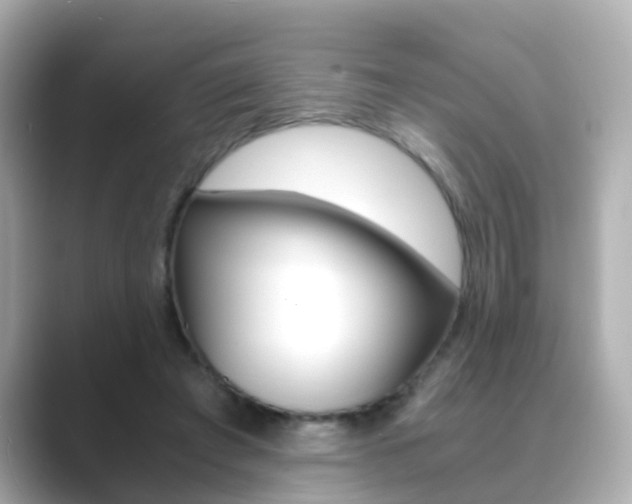 X0000089690401200706210838