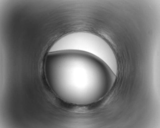 X0000089690403200706210838
