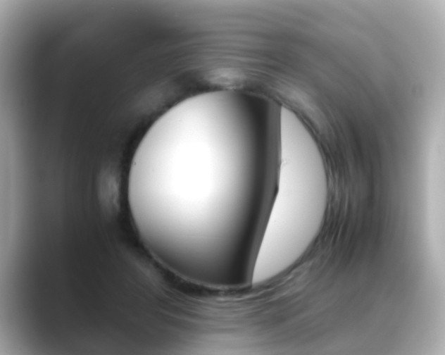 X0000089690404200706210838