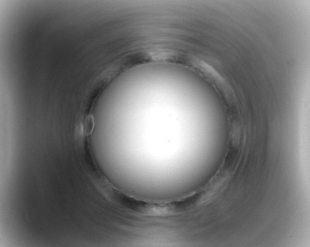 X0000089690405200706210838