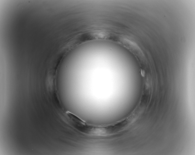 X0000089690409200706210838