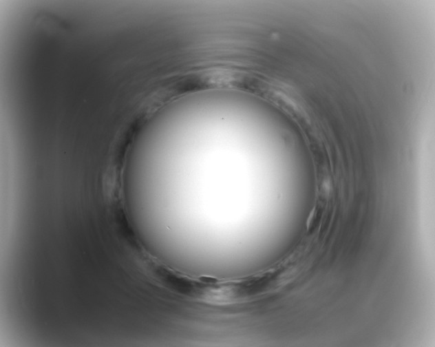 X0000089690411200706210838