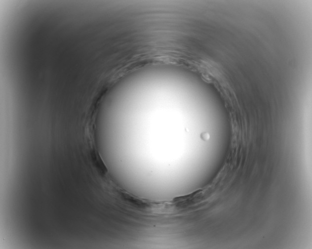 X0000089690415200706210838