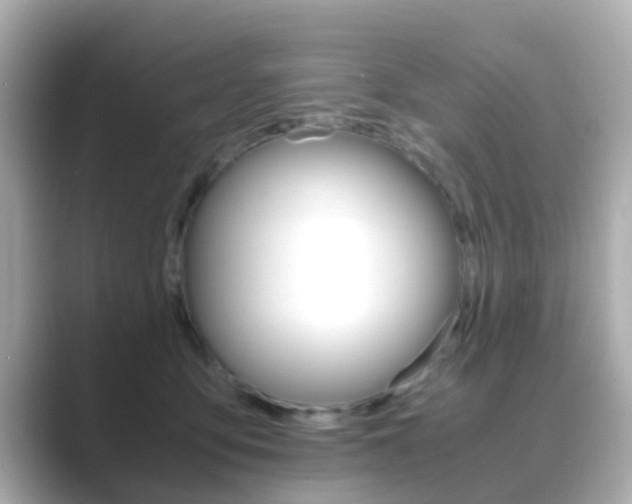 X0000089690419200706210838