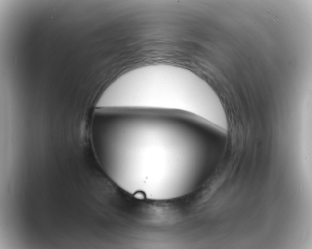 X0000089690420200706210838