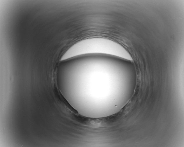 X0000089690423200706210838