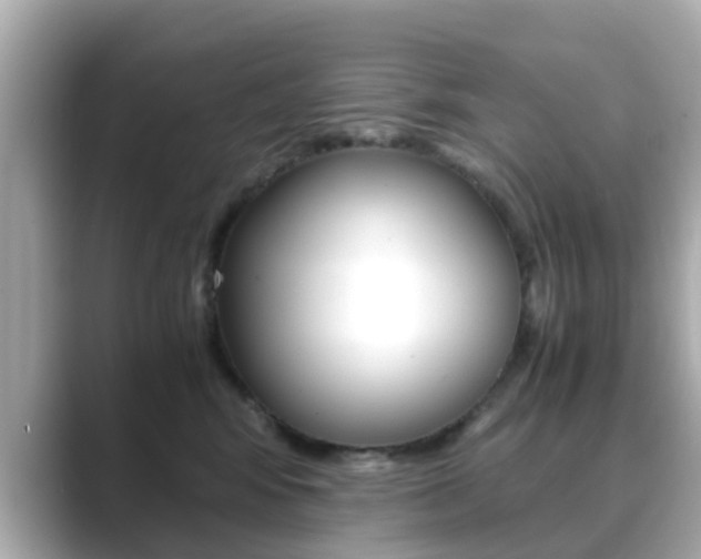 X0000089690424200706210838