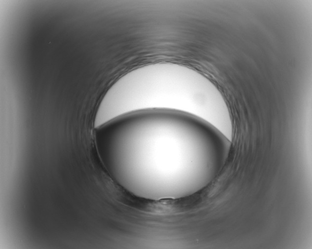 X0000089690425200706210838