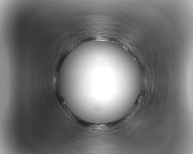 X0000089690427200706210838