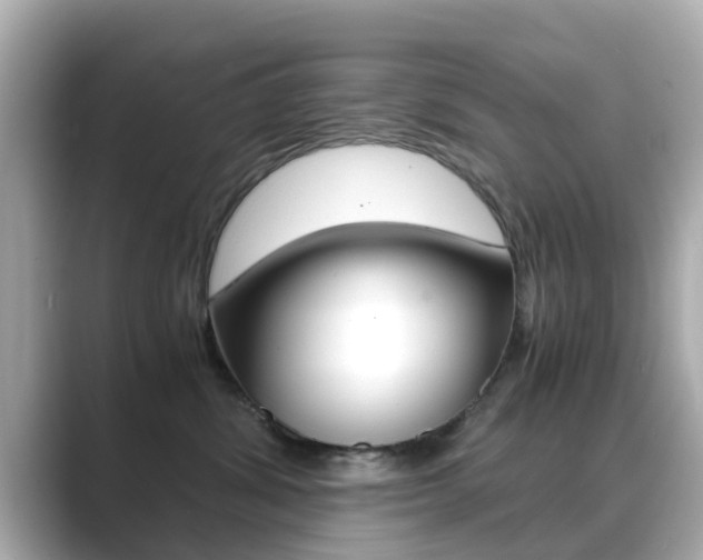 X0000089690428200706210838