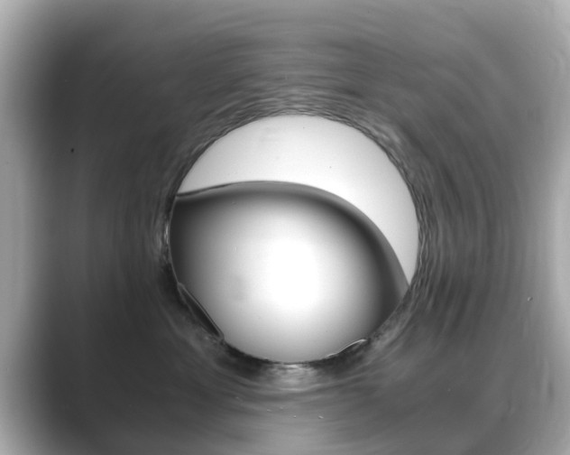 X0000089690429200706210838