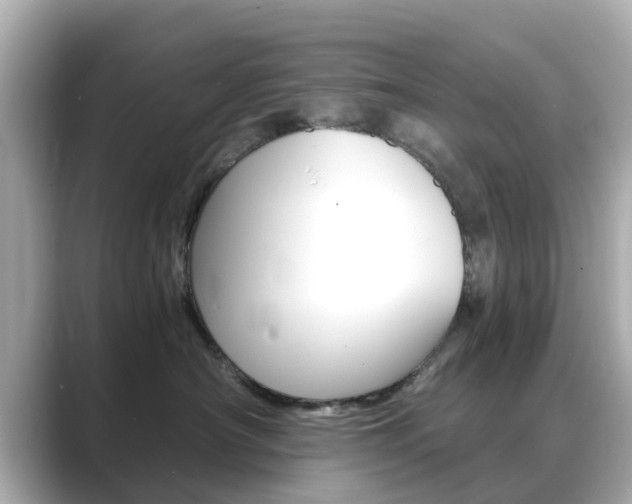 X0000089690430200706210838