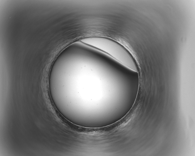 X0000089690433200706210837