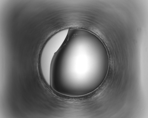 X0000089690434200706210837