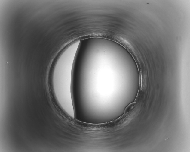 X0000089690435200706210837
