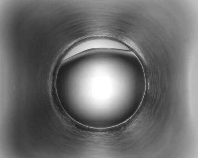 X0000089690436200706210837