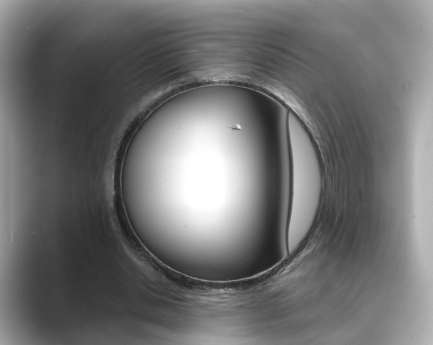 X0000089690438200706210837
