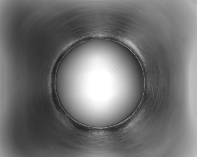 X0000089690439200706210837