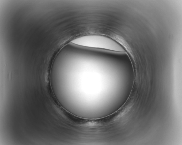 X0000089690441200706210837