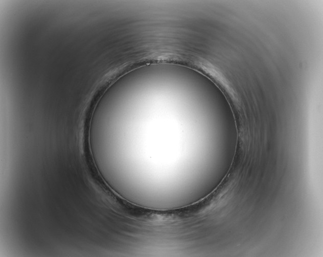 X0000089690442200706210837