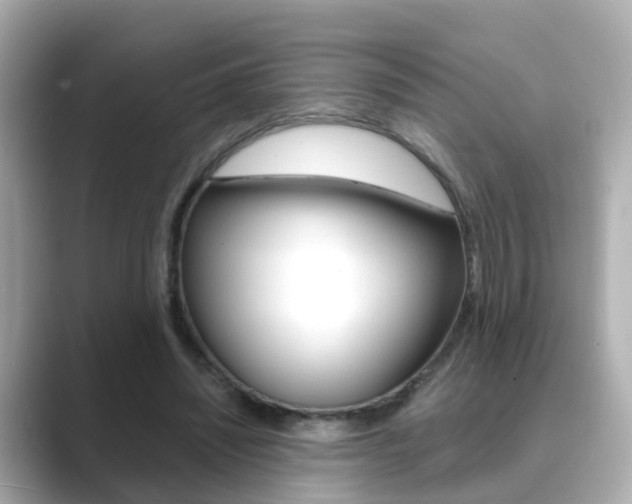 X0000089690444200706210837